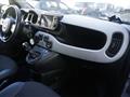 FIAT PANDA 1.0 FireFly S&S Hybrid City Cross