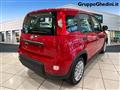 FIAT PANDA 1.0 FireFly S&S Hybrid Pandina