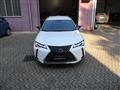 LEXUS UX Hybrid Business *NAVI*RETROCAMERA