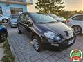 FIAT PUNTO 1.4 8V 5 porte Natural Power Street