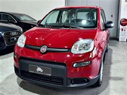 FIAT Panda 1.0 70CV Firefly Hybrid Red