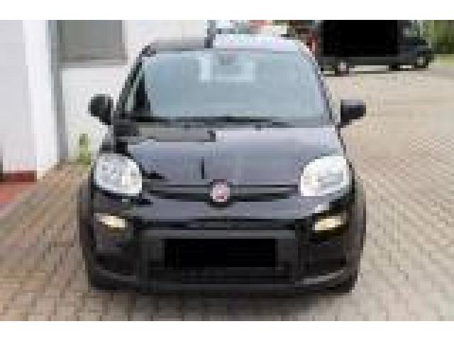 FIAT PANDA FIAT PANDA Hybrid