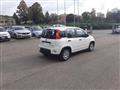 FIAT PANDA PROMO FINANZIAMENTO 1.0 FireFly S&S Hybrid