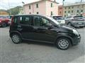 FIAT PANDA 1.0 Pandina Hybrid - KM.ZERO - PRONTA CONSEGNA