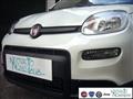 FIAT PANDA 1.0 FireFly S&S Hybrid Pandina Urban Radio Km 0