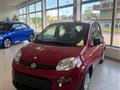 FIAT PANDA 1.0 MY23 Hybrid Clima automatico