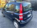 FIAT PANDA 1.2 neopatentati Bellissima Pronta per Consegna